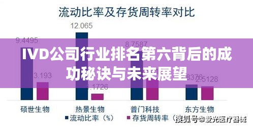 IVD公司行业排名第六背后的成功秘诀与未来展望