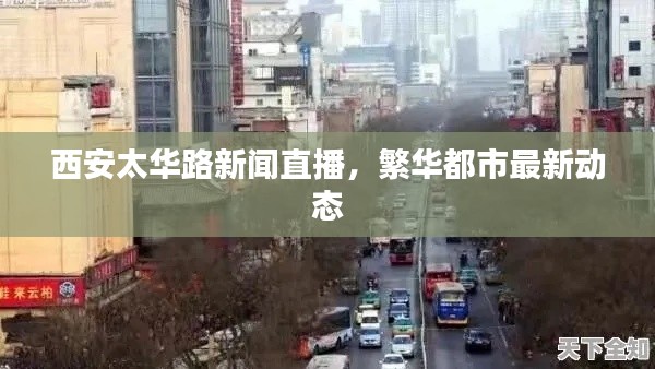 西安太华路新闻直播，繁华都市最新动态