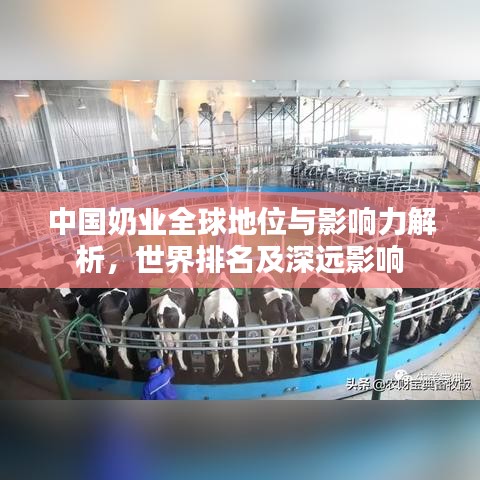 中国奶业全球地位与影响力解析，世界排名及深远影响