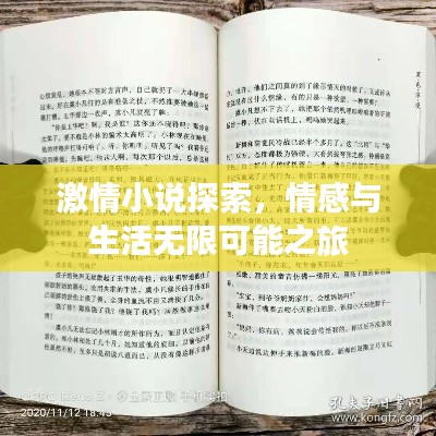 激情小说探索，情感与生活无限可能之旅