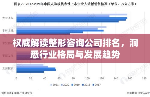 权威解读整形咨询公司排名，洞悉行业格局与发展趋势