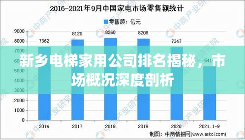 新乡电梯家用公司排名揭秘，市场概况深度剖析