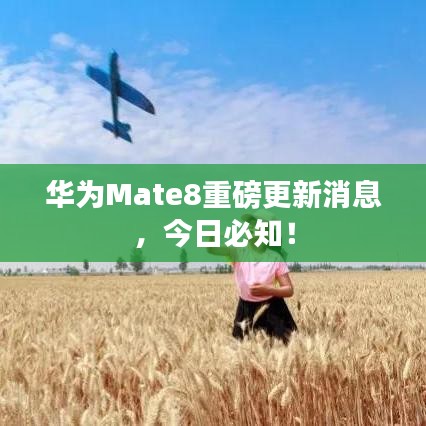 华为Mate8重磅更新消息，今日必知！