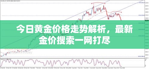 今日黄金价格走势解析，最新金价搜索一网打尽