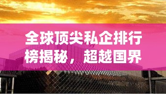 全球顶尖私企排行榜揭秘，超越国界的商业巨头！