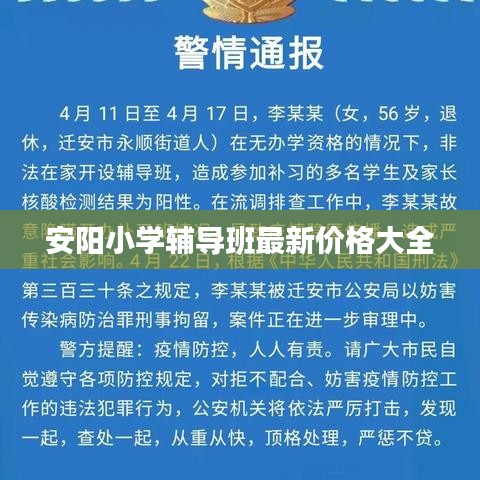 安阳小学辅导班最新价格大全