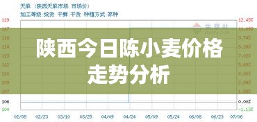 2025年1月29日 第14页