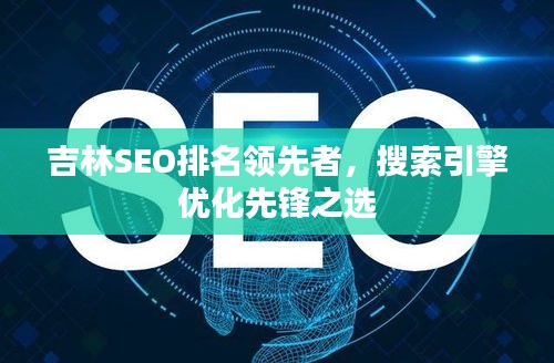 吉林SEO排名领先者，搜索引擎优化先锋之选