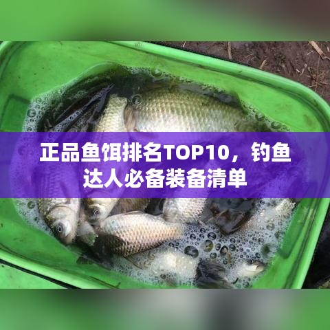 正品鱼饵排名TOP10，钓鱼达人必备装备清单