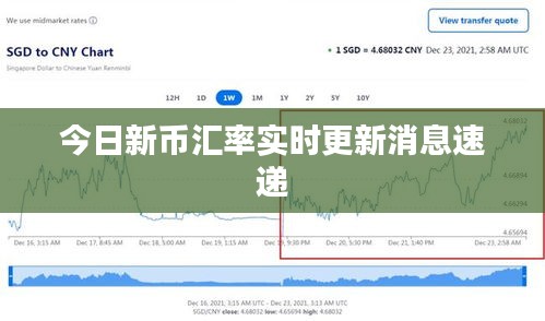 今日新币汇率实时更新消息速递