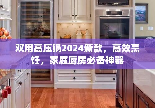 双用高压锅2024新款，高效烹饪，家庭厨房必备神器