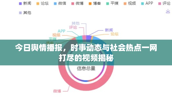 今日舆情播报，时事动态与社会热点一网打尽的视频揭秘