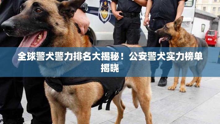 全球警犬警力排名大揭秘！公安警犬实力榜单揭晓