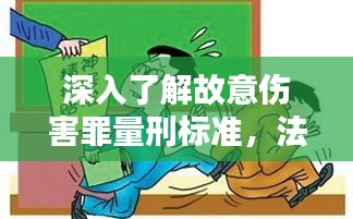 深入了解故意伤害罪量刑标准，法律规定与司法实践解析