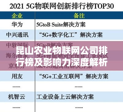 昆山农业物联网公司排行榜及影响力深度解析