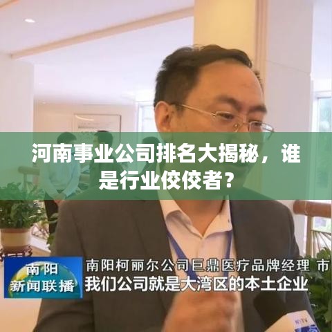 河南事业公司排名大揭秘，谁是行业佼佼者？