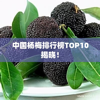 中国杨梅排行榜TOP10揭晓！