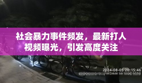 社会暴力事件频发，最新打人视频曝光，引发高度关注