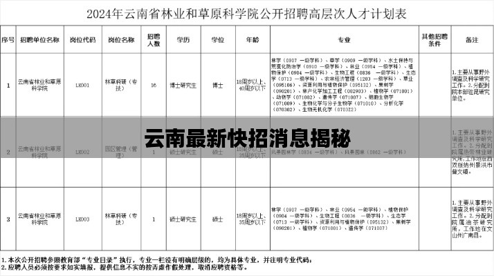 云南最新快招消息揭秘