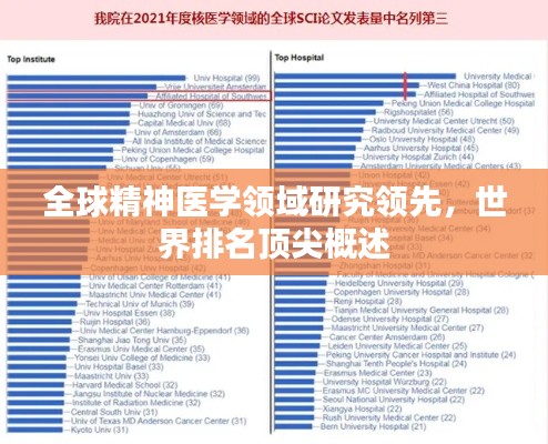 全球精神医学领域研究领先，世界排名顶尖概述