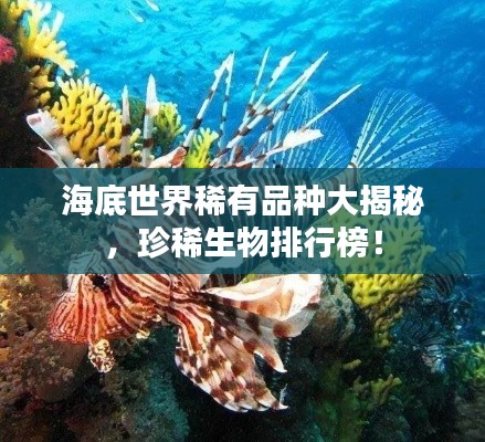 海底世界稀有品种大揭秘，珍稀生物排行榜！