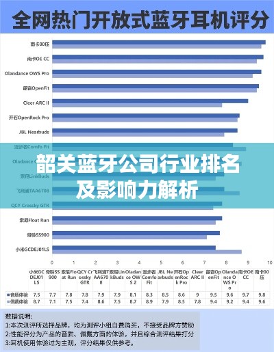 韶关蓝牙公司行业排名及影响力解析