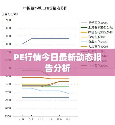 PE行情今日最新动态报告分析