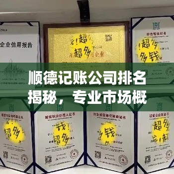 顺德记账公司排名揭秘，专业市场概览一网打尽