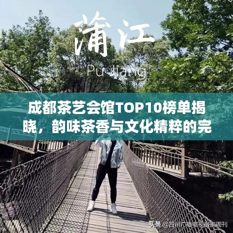 成都茶艺会馆TOP10榜单揭晓，韵味茶香与文化精粹的完美交融