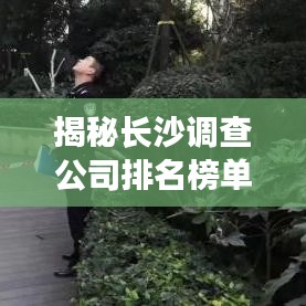 揭秘长沙调查公司排名榜单，专业机构权威评级！