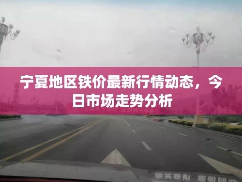 宁夏地区铁价最新行情动态，今日市场走势分析