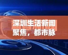 深圳生活新闻聚焦，都市脉搏与民生热点热议