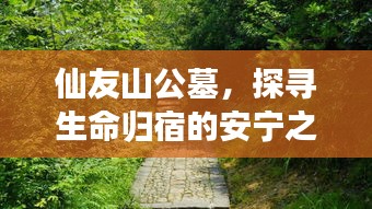 仙友山公墓，探寻生命归宿的安宁之地