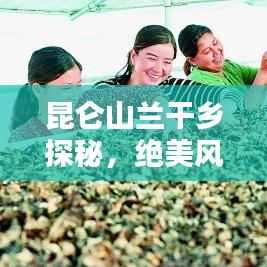 联系我们﻿﻿ 第30页