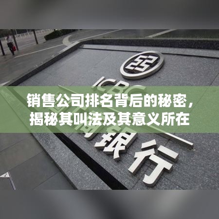 销售公司排名背后的秘密，揭秘其叫法及其意义所在