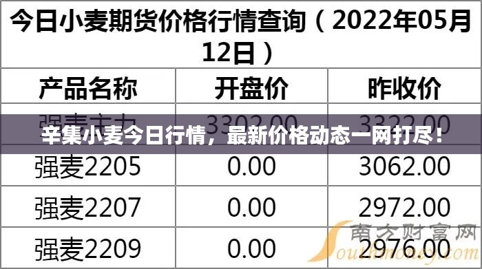 辛集小麦今日行情，最新价格动态一网打尽！