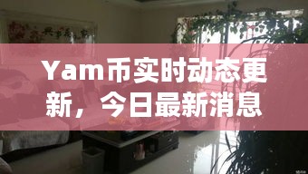 Yam币实时动态更新，今日最新消息汇总