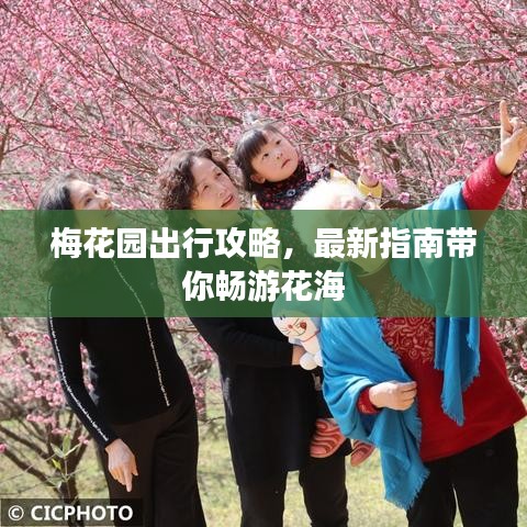 梅花园出行攻略，最新指南带你畅游花海