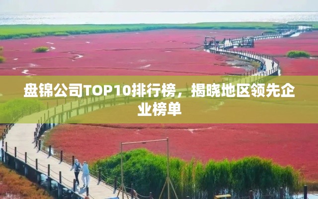 盘锦公司TOP10排行榜，揭晓地区领先企业榜单