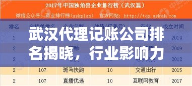 武汉代理记账公司排名揭晓，行业影响力榜单及专业服务水平揭秘