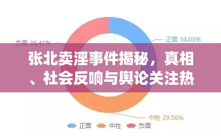 张北卖淫事件揭秘，真相、社会反响与舆论关注热议的话题