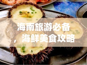 海南旅游必备，海鲜美食攻略大放异彩