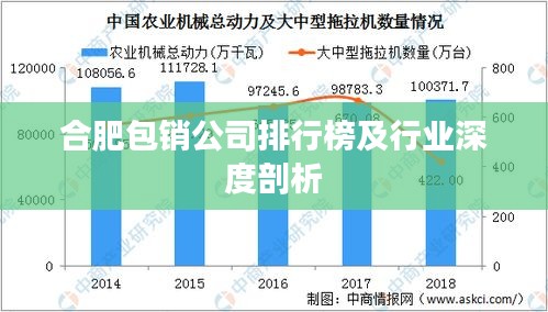 合肥包销公司排行榜及行业深度剖析