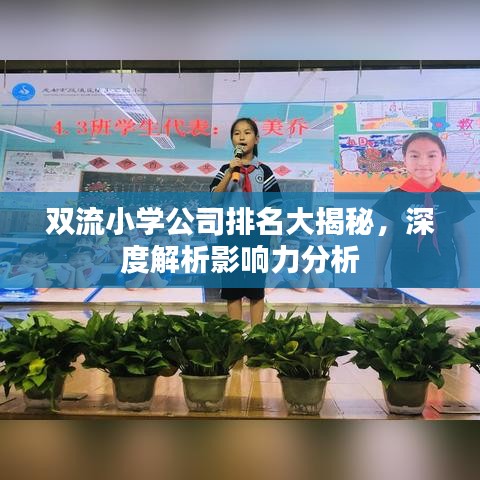 双流小学公司排名大揭秘，深度解析影响力分析