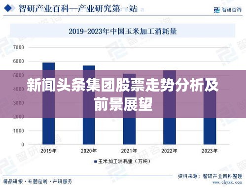 新闻头条集团股票走势分析及前景展望