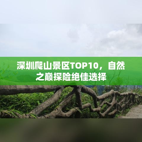 深圳爬山景区TOP10，自然之巅探险绝佳选择