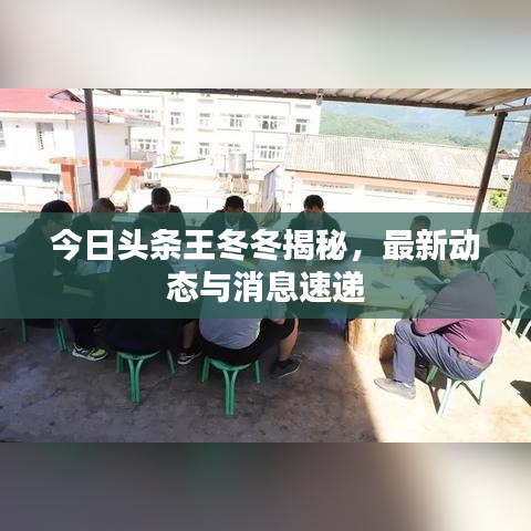 今日头条王冬冬揭秘，最新动态与消息速递