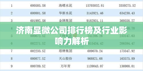 济南显微公司排行榜及行业影响力解析