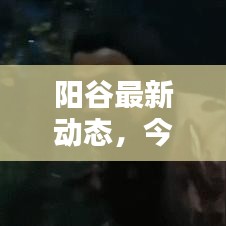 阳谷最新动态，今日情况更新速递