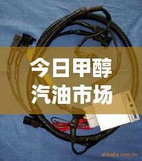 今日甲醇汽油市场动态速递